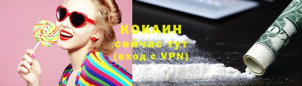 прущие грибы Сафоново
