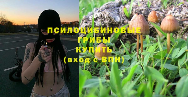 ПСИЛОЦИБИНОВЫЕ ГРИБЫ Балабаново