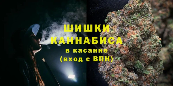 ПСИЛОЦИБИНОВЫЕ ГРИБЫ Балабаново