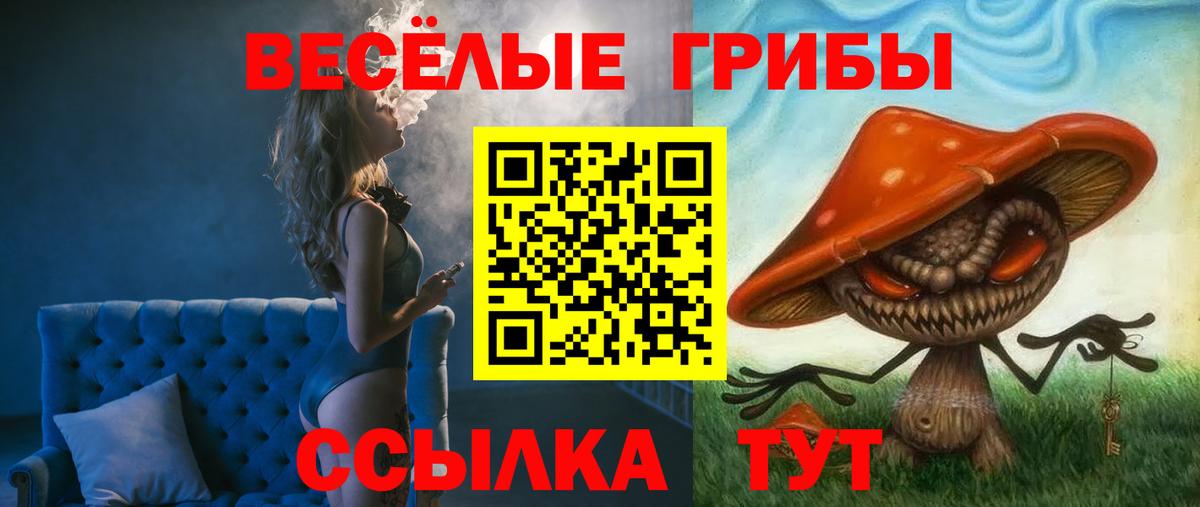 Псилоцибиновые грибы мицелий  Вход с VPN  Краснокаменск  Псилоцибиновые грибы GOLDEN TEACHER 